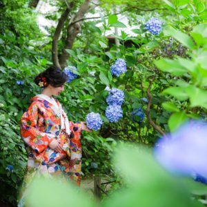 【和装ロケーション】新緑と紫陽花