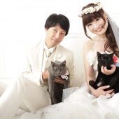 CAT♡猫♡NEKO♡ネコ(=^・^=)