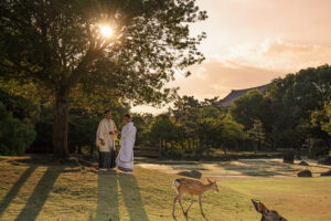 奈良公園の広場